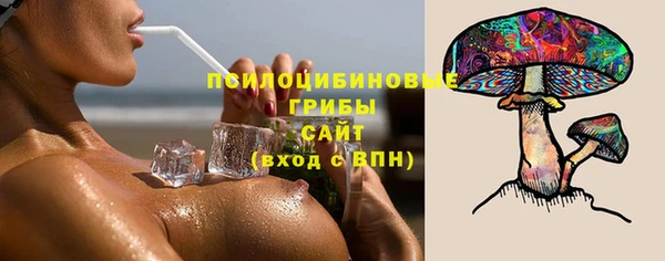 винт Алексеевка