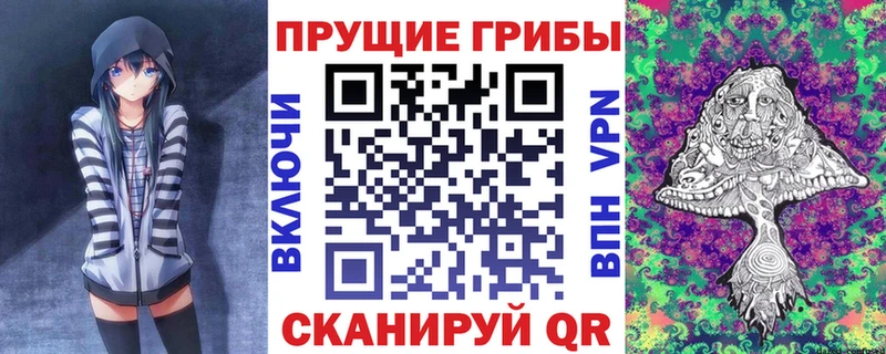 ОМГ ОМГ ТОР  Сокол  Псилоцибиновые грибы ЛСД 